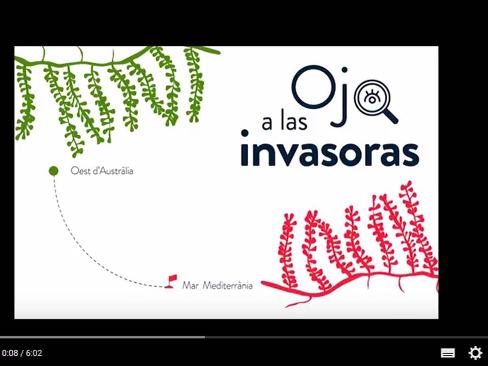 Vídeo Ojoinvasoras (Audio català)